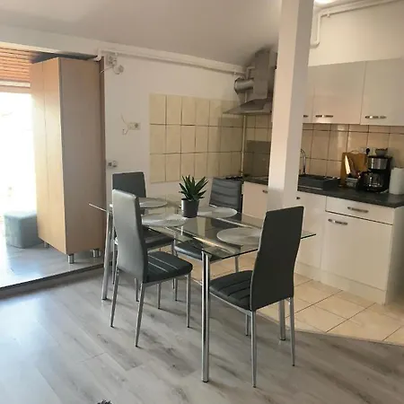 Apartment Apartament In Regim Hotelier Timisoara